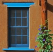 Inspired by Natur...