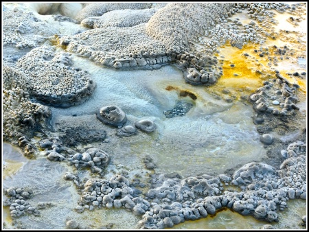 Anemone Geyser