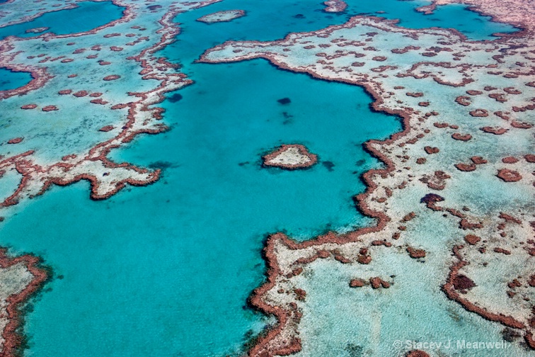 Heart Reef in the Great Barrier Reef, Australia 1 - ID: 12724555 © Stacey J. Meanwell