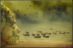 The Watcher