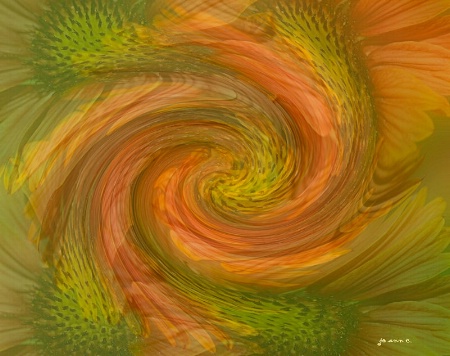 A Floral Swirl....