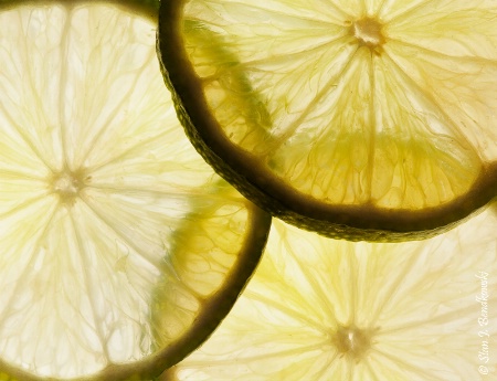 Limes