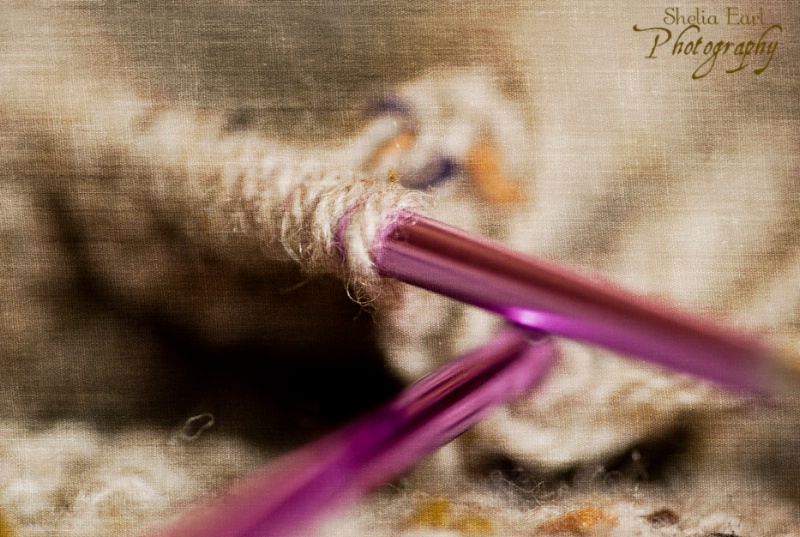 Knitting Close Up - ID: 12729999 © Shelia Earl