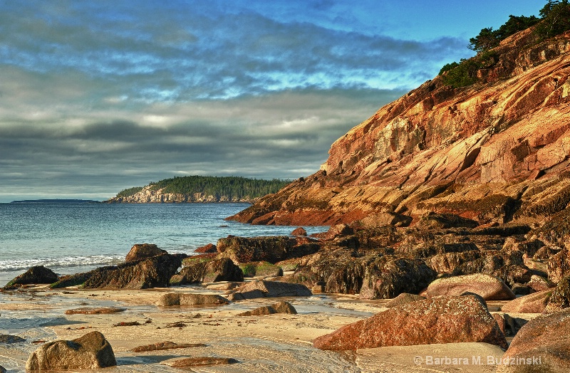 Morning in Maine