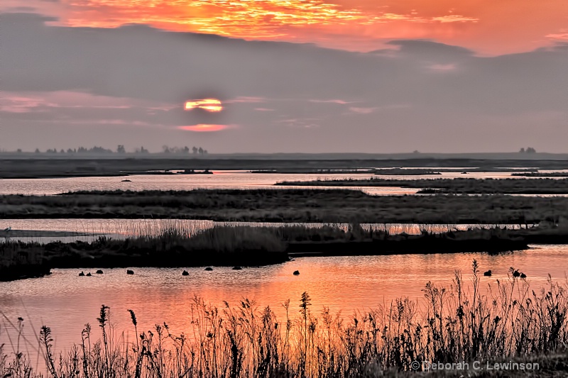 Fog Lifting - ID: 12731994 © Deborah C. Lewinson