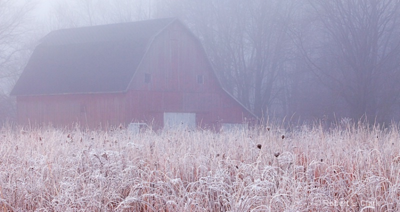 Frost & Fog on the Farm