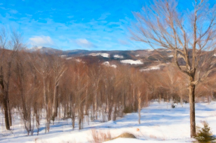 Height of Land - ID: 12733458 © Bonnie L. Smith