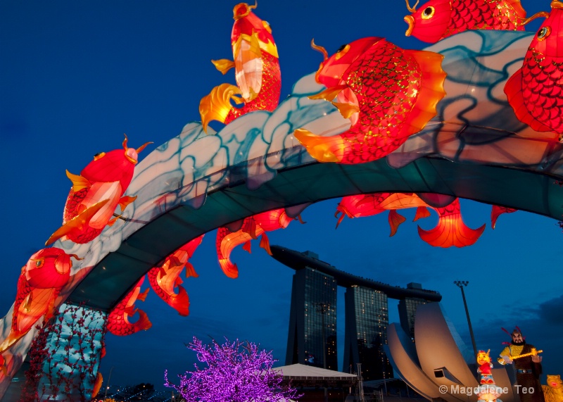 Cities at Twilight: Singapore CNY