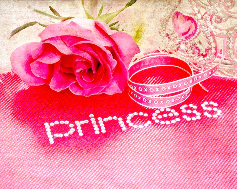 ~Princess in Pink~