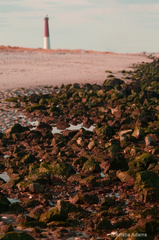 Barnegat Beach Rocks