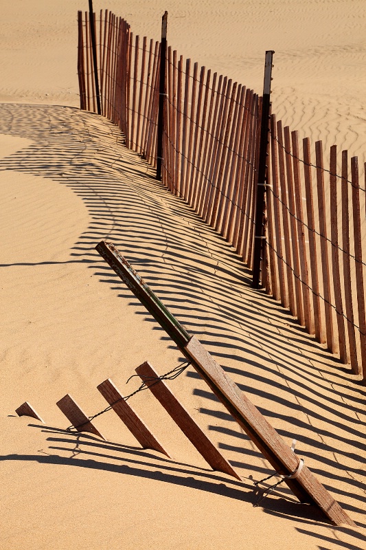 Fences and Shadows