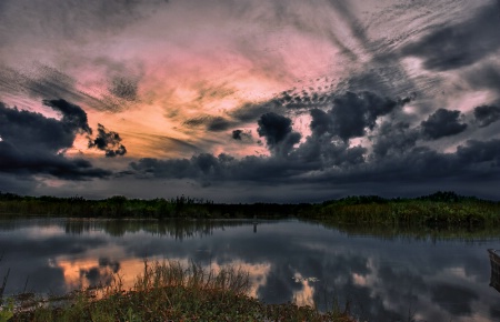 The Northern point of the Florida Everglades