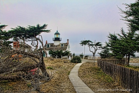 Lighthouse - Monterey Bay 2
