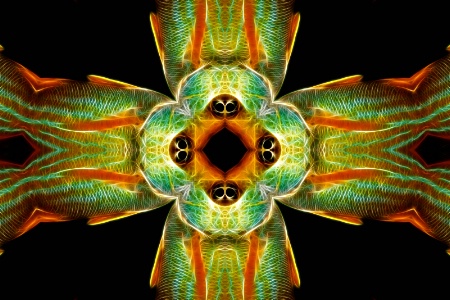 OBX Fish--Fractalius + Kaleidoscope