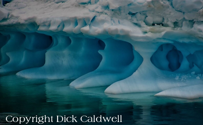 Blue ice berg undulations.  Antarctica. - ID: 12742394 © Gloria Matyszyk