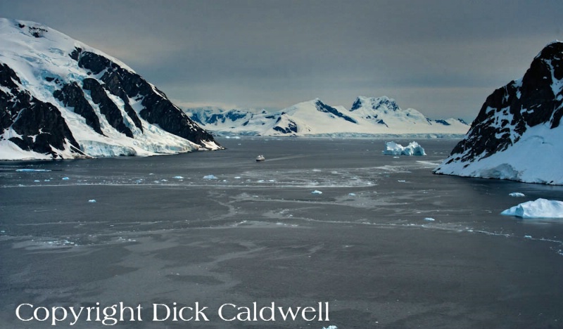 Antarctica - ID: 12742416 © Gloria Matyszyk