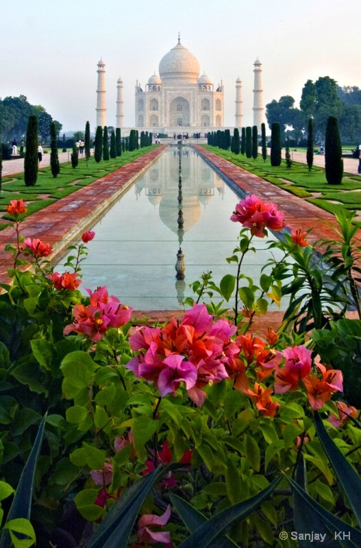 Taj - Morning Shot