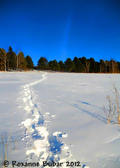 Snow Shoeing In The County.