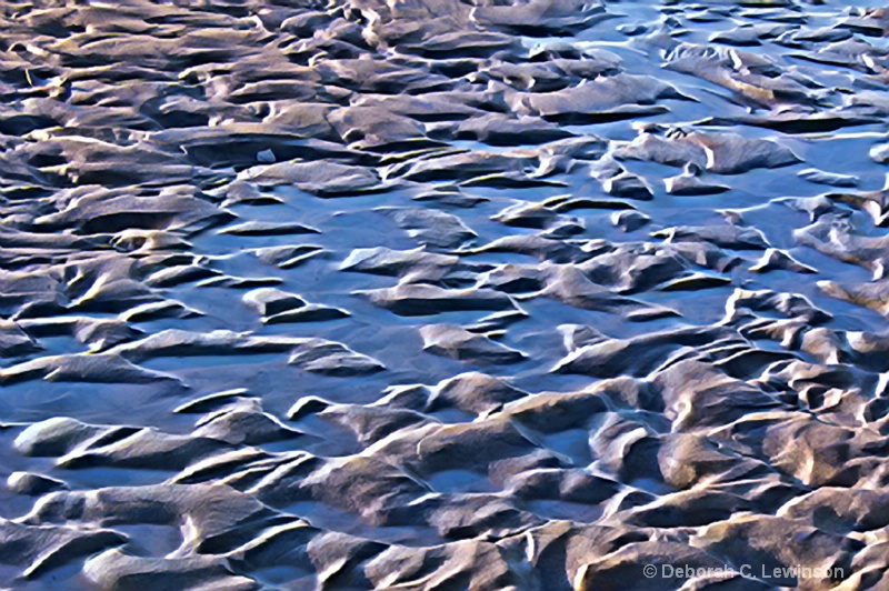 Tidal Pools - ID: 12744269 © Deborah C. Lewinson