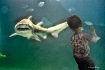 Here fishy, fishy...