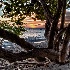© Elliot S. Barnathan PhotoID# 12746089: Cayman Sunset 1