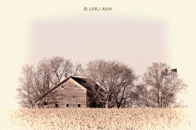 This Land