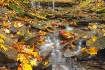 Trickle of Fall