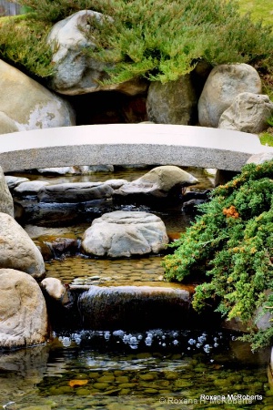 Japanese garden