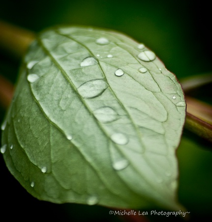 raindrops~