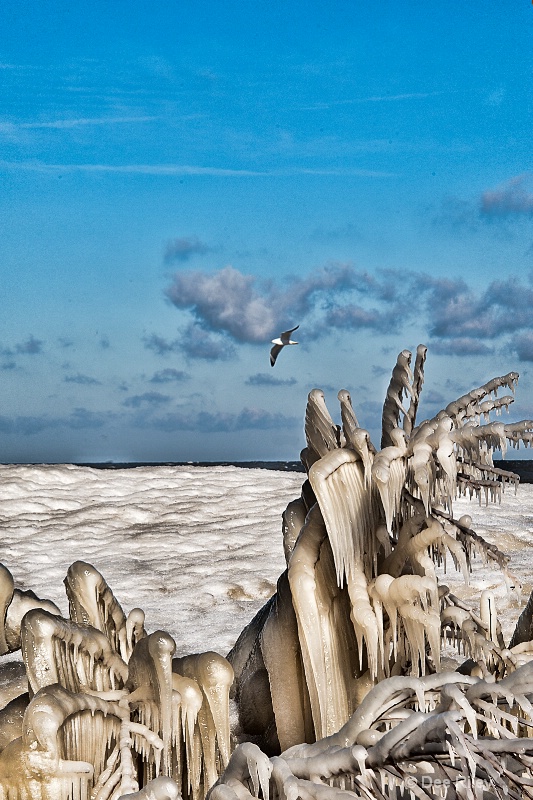 Lake Erie Freeze
