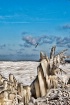 Lake Erie Freeze