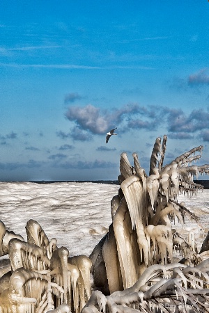 Lake Erie Freeze