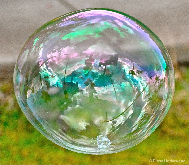 Captured in a Bubble!