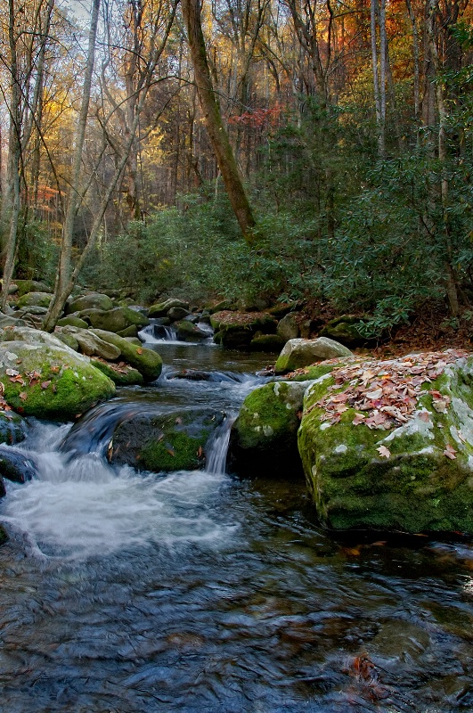 Along the Creek