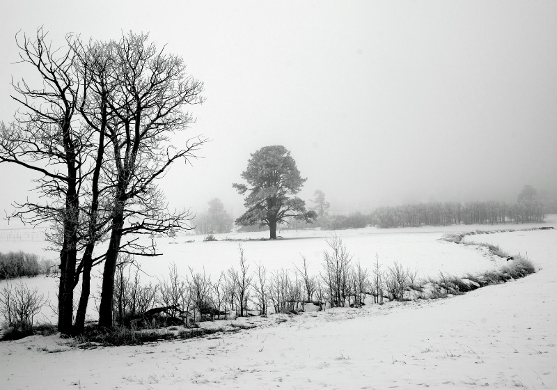 Across the Field - ID: 12752804 © Sharon L. Langfeldt