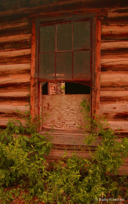 Old Cabin Window 