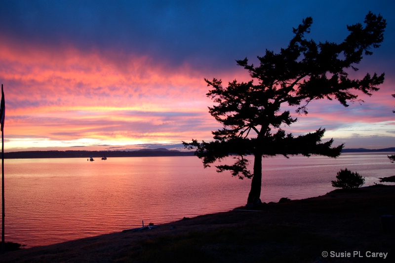 Pink_Blue Sunset - ID: 12753606 © Susie P. Carey