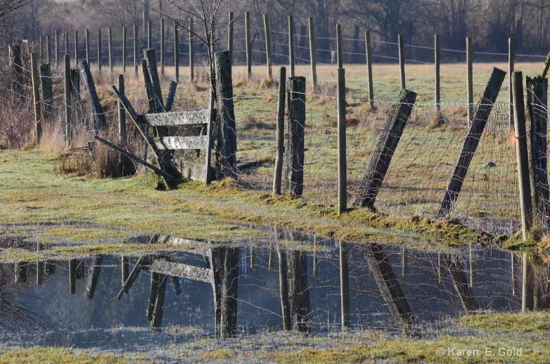 Flooded Field