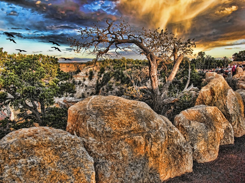 Big Rocks At Mather Point