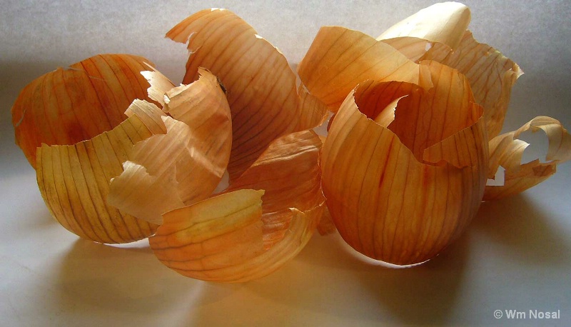 Onion Skins