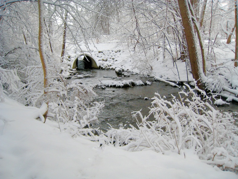 Winter White