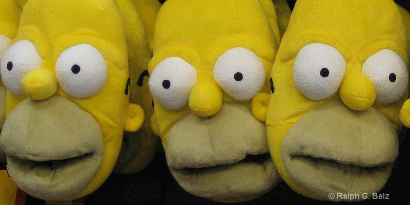 Homer Slippers(after)