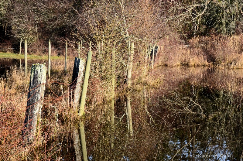 Field of Reflection