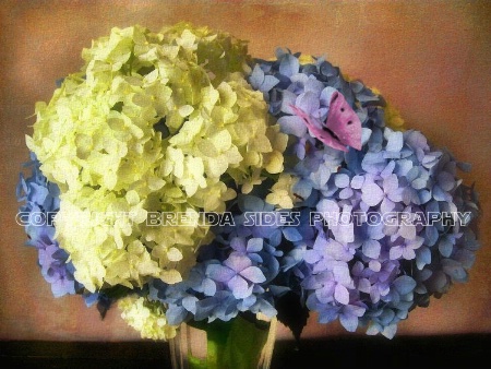 ~Summer Bouquet~