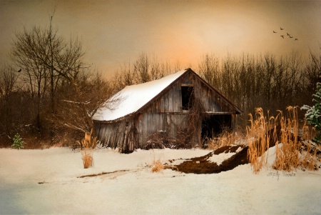 Old Homestead Barn