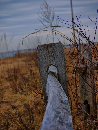 Fenced in