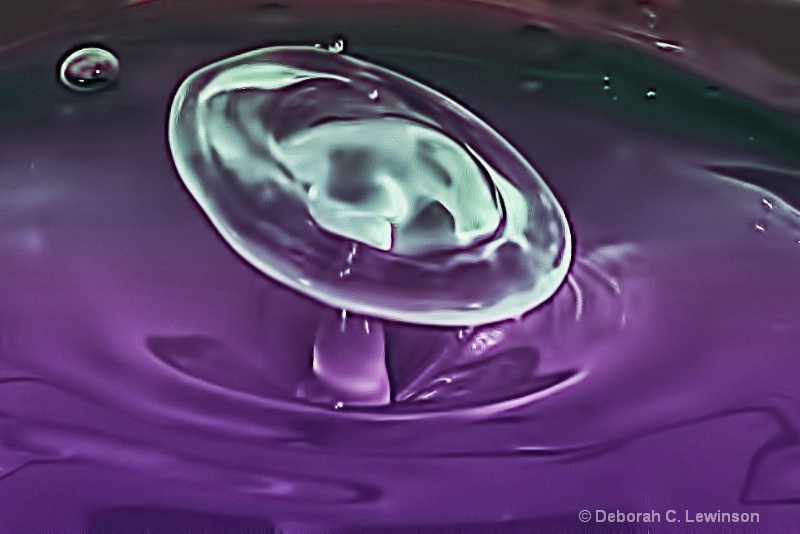Water Drop Mushroom - ID: 12770821 © Deborah C. Lewinson