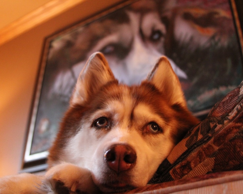 Zena and her painting