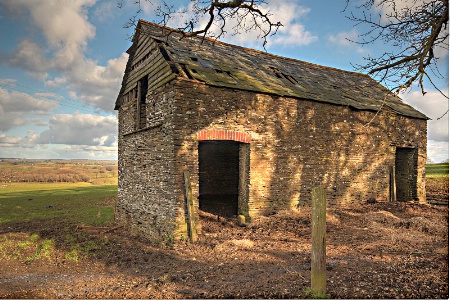 Cow Shed