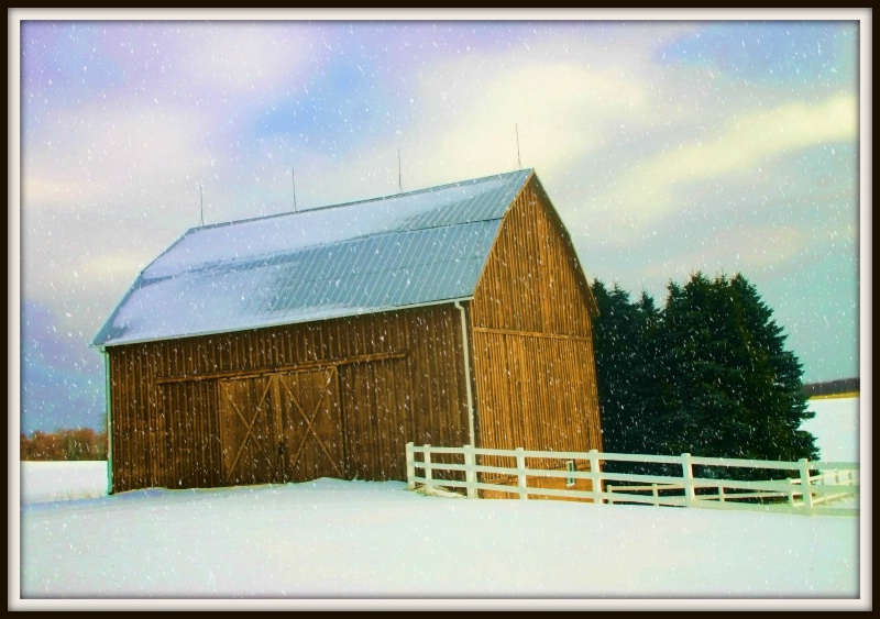 Country Winter
